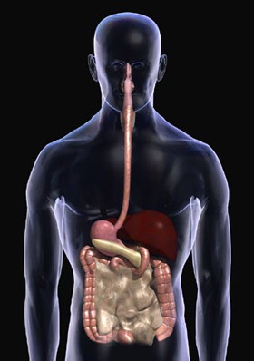 एक योजनाबद्ध प्रणाली सभी विवरणों के साथ