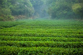 不可知论（3/4）：伪宗教的产物