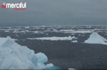 Allah t'as choisi pour l 'islam