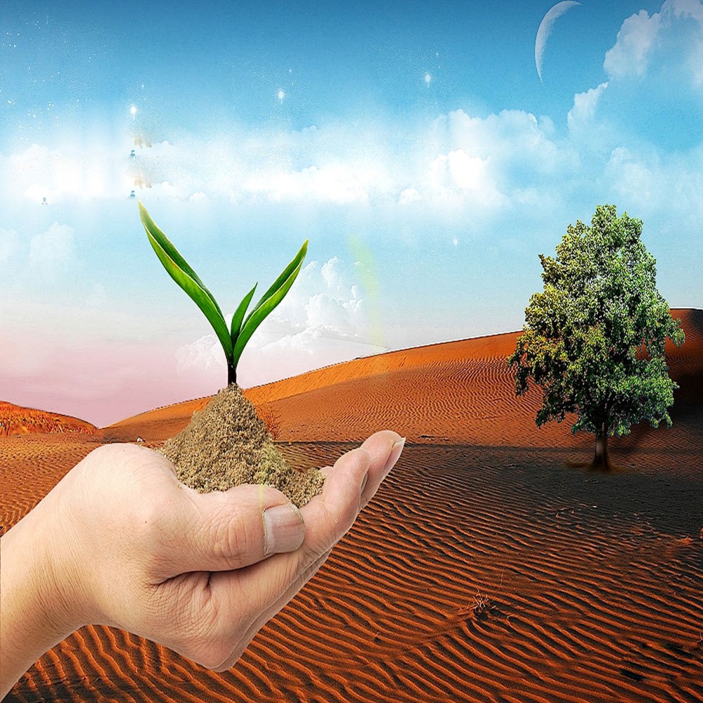 Ang Magandang Asal ng Isang Tunay na Mananampalataya