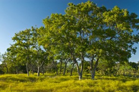 Mga Anghel (bahagi 2 ng 3): Ipinagkaloob ng Diyos ang kalakasan at kapangyarihan sa mga anghel