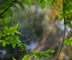 नास्तिकता (2 का भाग 1): निर्विवाद को नकारना