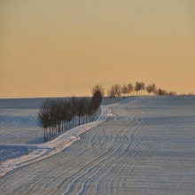 《古兰经》中有关尔撒和麦尔彦的故事（1/3）：麦尔彦