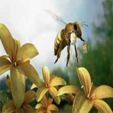 Harmony between the Quran and Science