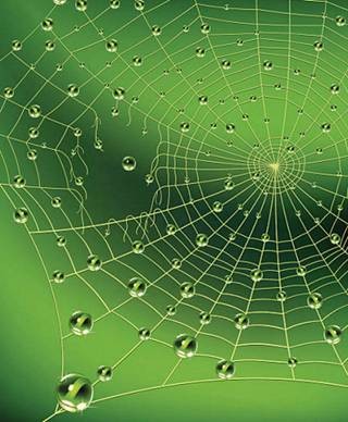 Chapitre 29, Al-Ankabout (L’araignée)