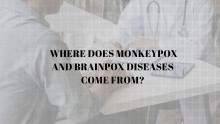 Where does Monkeypox and Brainpox diseases come from?