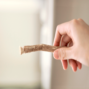 What is the Sunnah? (part 2 of 2): The Sunnah in Islamic Law