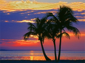 История Адама: Жизнь на Земле (часть 4 из 5)