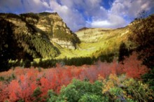 Il Peccato Originale (parte 2 di 2)