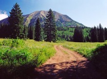 La protection environnementale en islam (partie 7 de 7) : Protéger l’homme et l’environnement