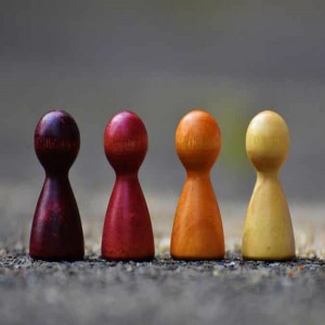 Rights of non-Muslim Minorities