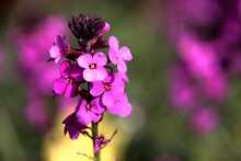 El Significado De “Bendición”