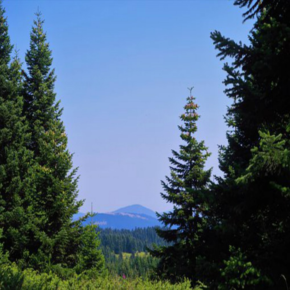 Sourate 12, Youssef (Joseph) (partie 2 de 2)