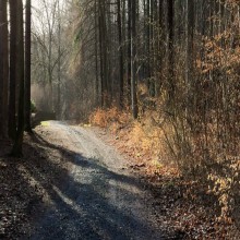 Mga Piling Hadith ( IkaapatnaYugto ) 14