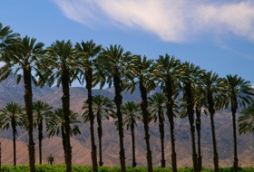 Preservação da Sunnah por Deus (parte 4 de 7): A Preservação do Isnad