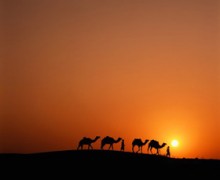 A Verdade é Uma (parte 2 de 2)