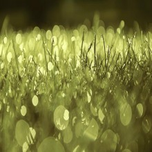 Chapitre 55, ar-Rahman (Le Tout Miséricordieux)