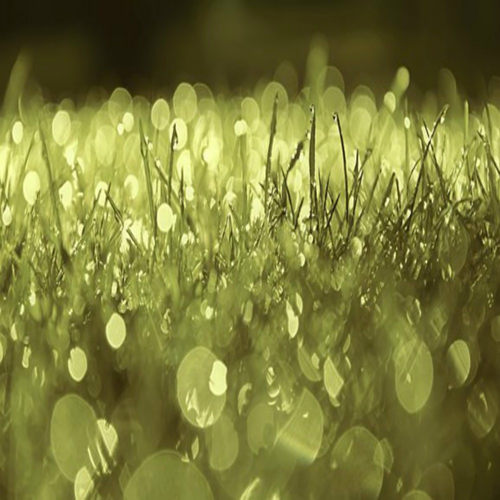 Чем ислам отличается от остальных религий? (часть 2 из 2)