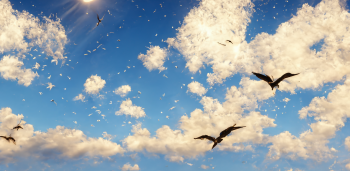 HESUS ANAK NI MARIA PROPETA HINDI DIYOS