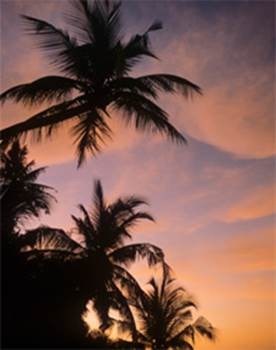 伊斯兰的精神性概念