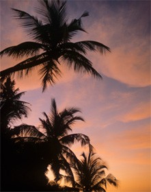 आध्यात्मिकता की इस्लामी अवधारणा