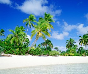 Jesus, filho de Maria (parte 5 de 5): Povo do Livro