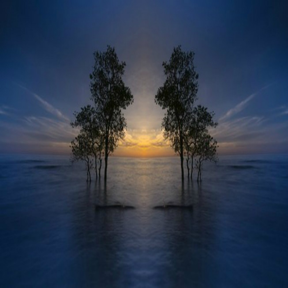 L'Elevazione della Condizione Femminile (3 di 5): Una Differenza Fondamentale