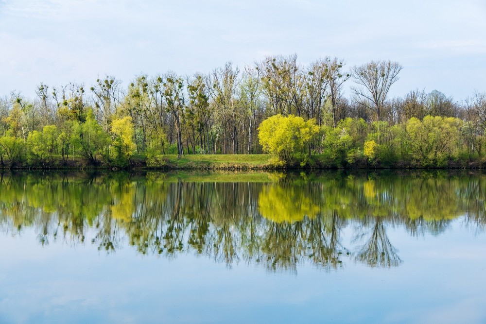 O reconhecimento da grandeza de ALLAH