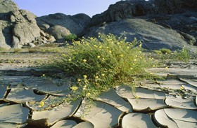 后世生活（1/2）：证据