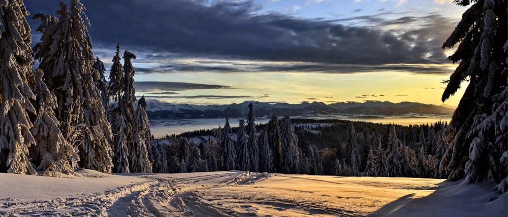 Божественное сохранение Сунны: путешествие с целью найти хадис (6 из 7)
