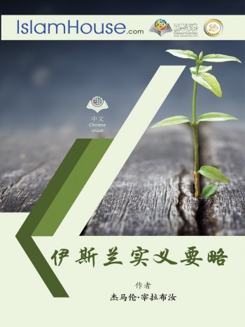 伊斯兰实义要略