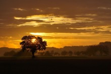 Uma Breve História do Islã (parte 4 de 5): O Califado de Abu Bakr e Umar