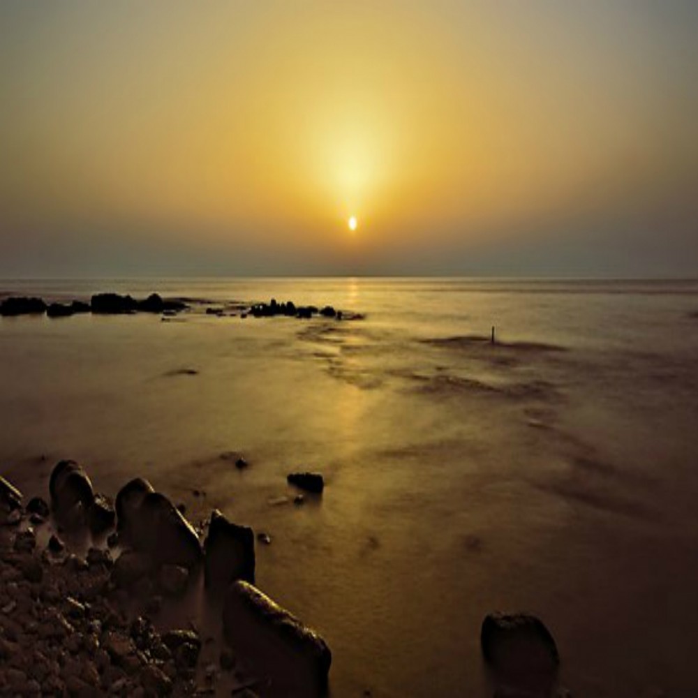 LA CREENCIA EN LOS PROFETAS