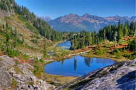 Сплоченность – в основе семьи: дети и родственники (часть 4 из 4)