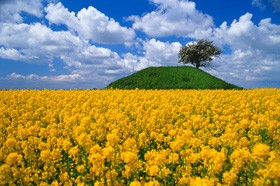 La misericordia di Muhammad verso i Non-Musulmani (parte 1 di 2)