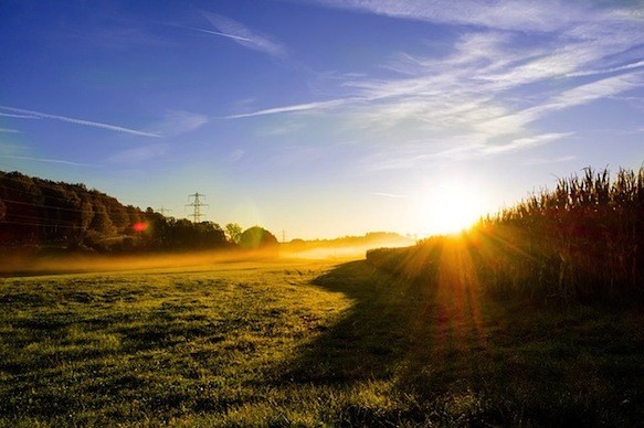 La véritable richesse (partie 2 de 2)