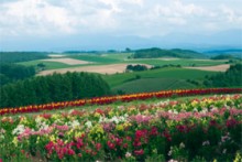 Ang Pinaka-mainam na Pagkatao ng isang Muslim