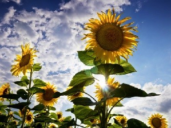 La derni?re personne ? entrer au Paradis (partie 2 de 2): Juste encore un peu