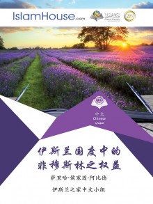 伊斯兰国度中的非穆斯林之权益