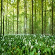मुस्लिम महिला का गैर मुस्लिम पुरुष से विवाह करने कि मनादी व रुकावट पर संदेह व ऐतराज़ और उसका रद्द