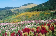 Семья в Исламе: брак (часть 2 из 3)