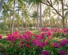 Ang Kuwento ni Adan (bahagi 1 ng 5): Ang Unang Tao