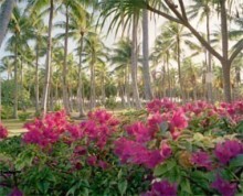 安拉为什么创造人类？（3/4）：因为崇拜安拉而生活