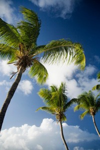 L’histoire de Jésus et de Marie telle que relatée dans le Coran (partie 1 de 3) : Marie