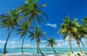 Ang Maikling Kuwento ni Hesus