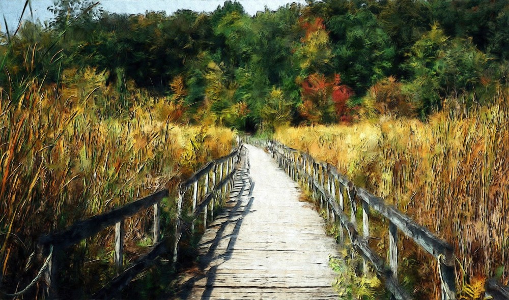 行为与举意（2/2）：宗教领域纯洁的举意