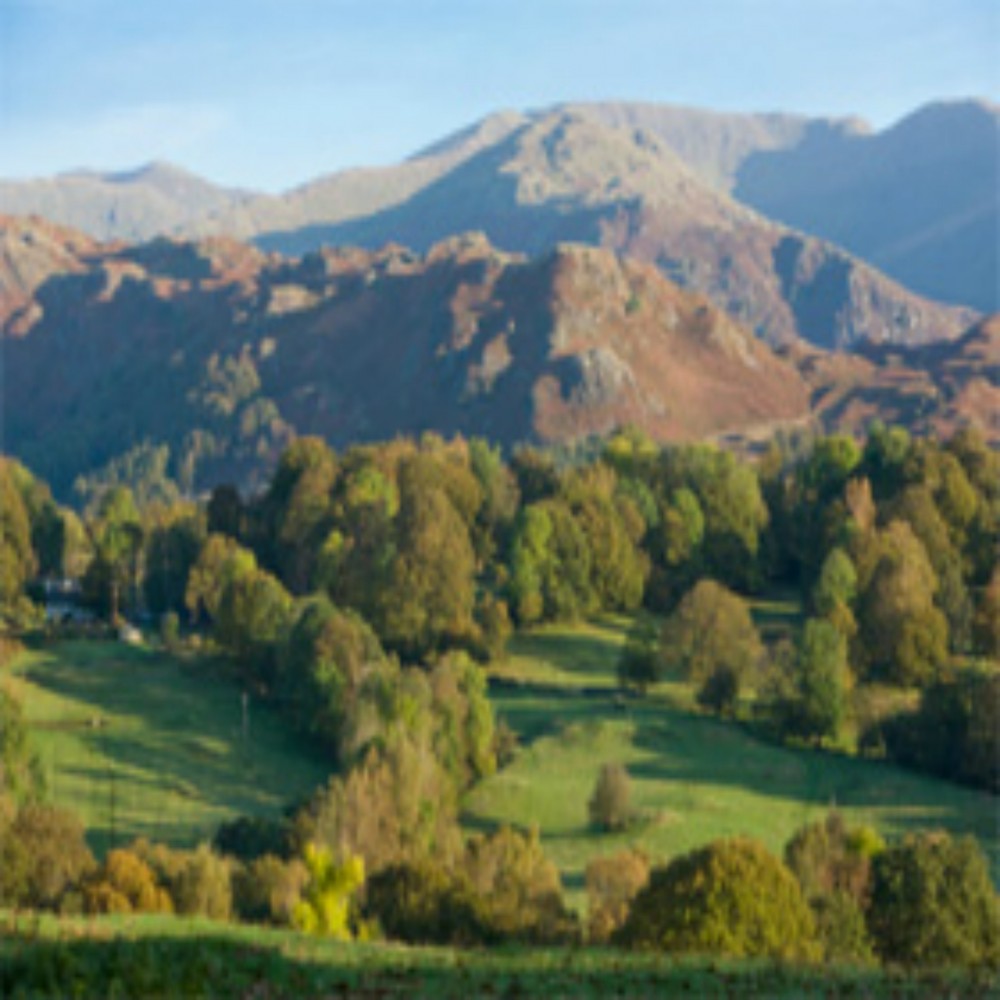 什么是伊斯兰？（2/4）：伊斯兰的起源