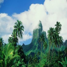 什么是伊斯兰？（3/4）：伊斯兰的六大信仰