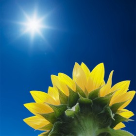 伊斯兰论儿童权利（2/5）:儿童是福分，不是财产